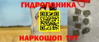 дурь Славгород